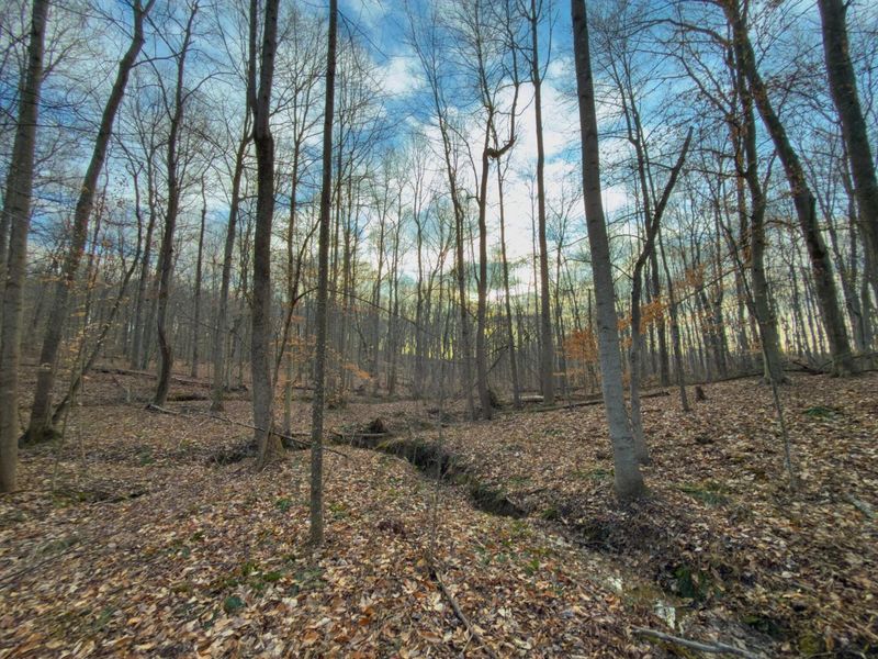 0 Long Fork Road, Piketon, OH 45661 Photo 30