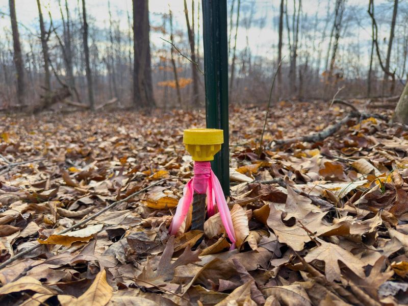 0 Long Fork Road, Piketon, OH 45661 Photo 32