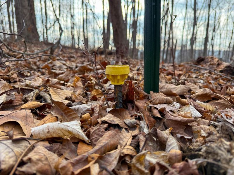 0 Long Fork Road, Piketon, OH 45661 Photo 33