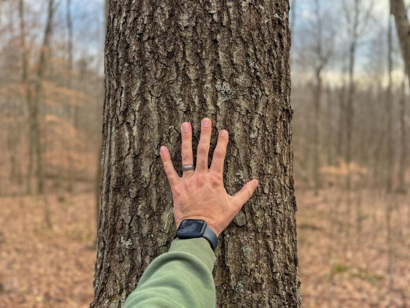 0 Long Fork Road, Piketon, OH 45661 Photo 6