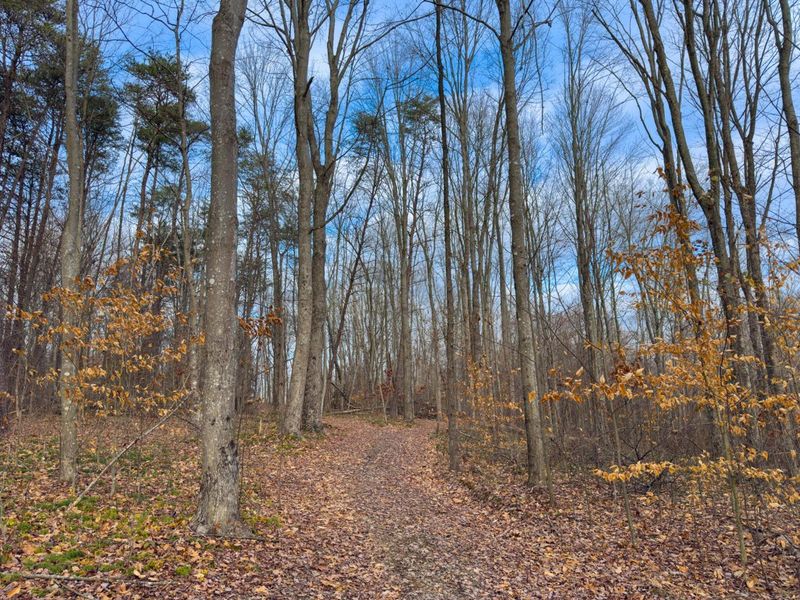 0 Long Fork Road, Piketon, OH 45661 Photo 7