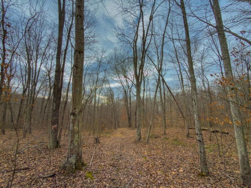 0 Long Fork Road, Piketon, OH 45661 Photo 8