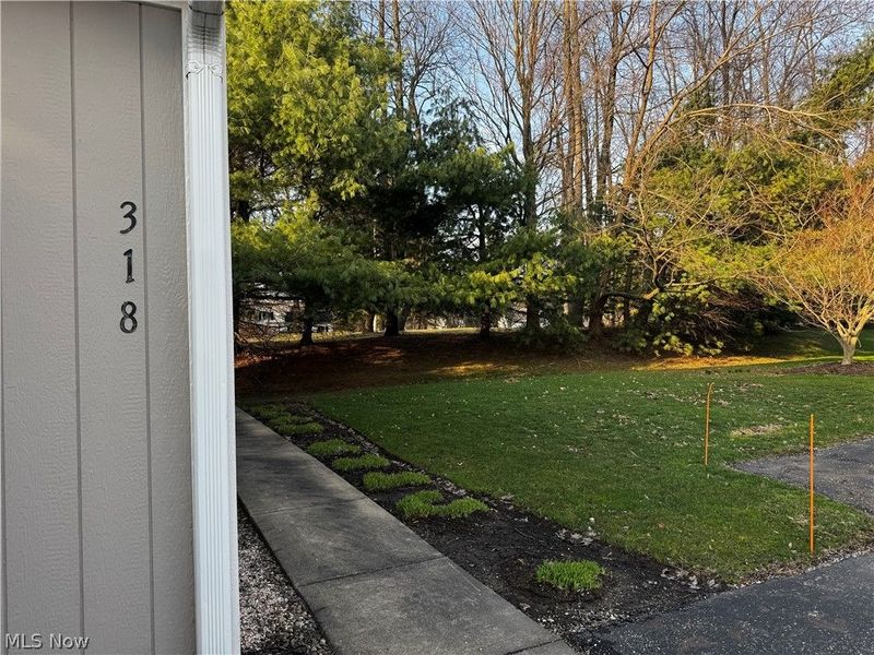 318 Millennium Drive, Tallmadge, OH 44278 Photo 26