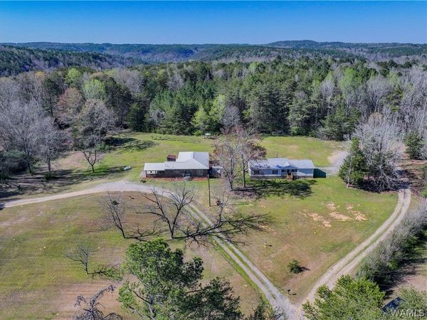 16598 Lock 17 Road, Brookwood, AL 35444