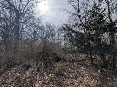 VL North Ridge Road, Lorain, OH 44053