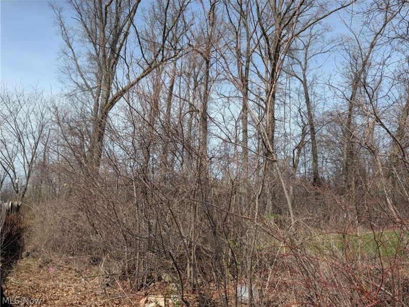 VL North Ridge Road, Lorain, OH 44053 Photo 2
