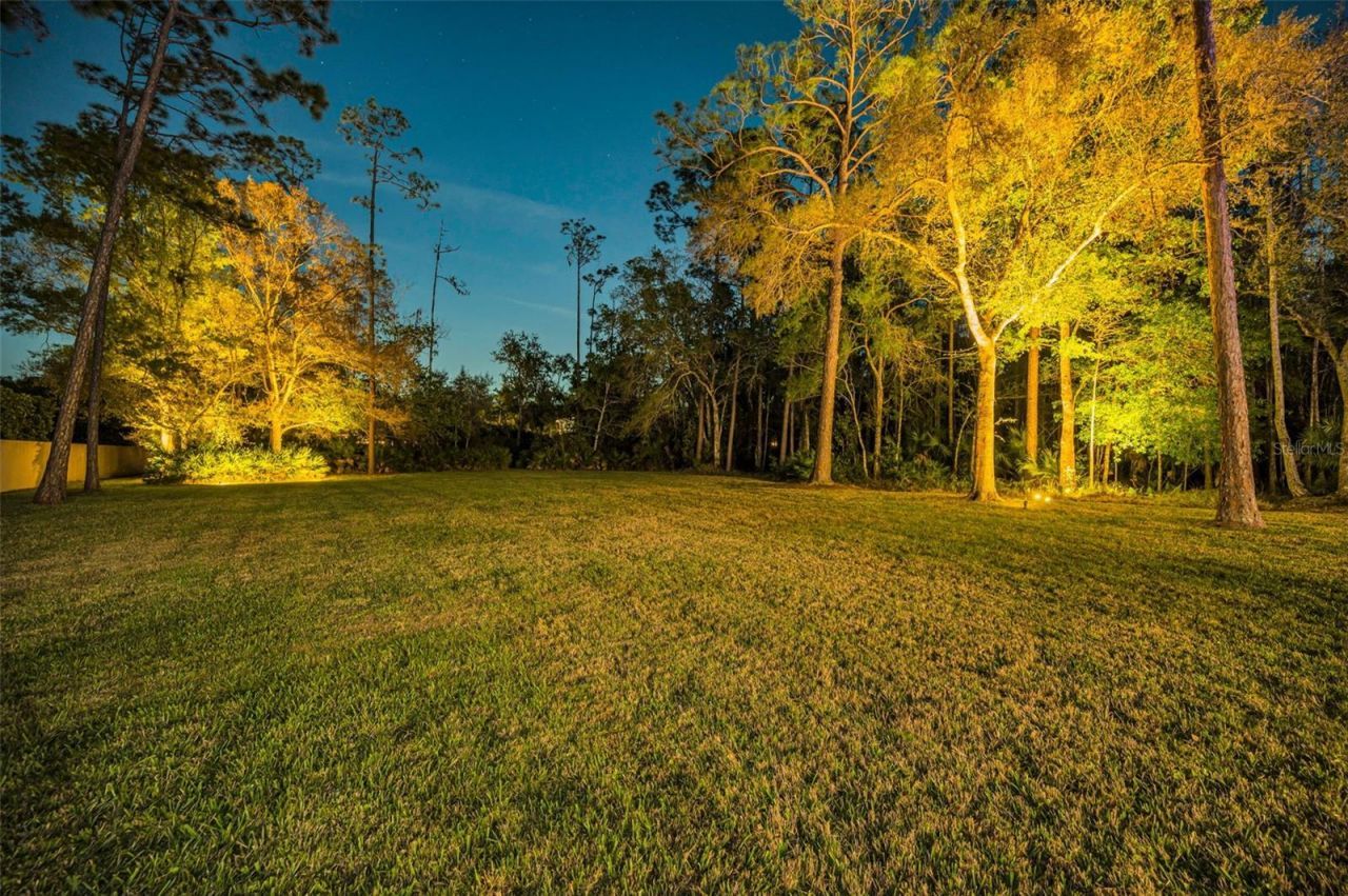 5044 Kilkenney Court, Oldsmar, FL 34677 Photo