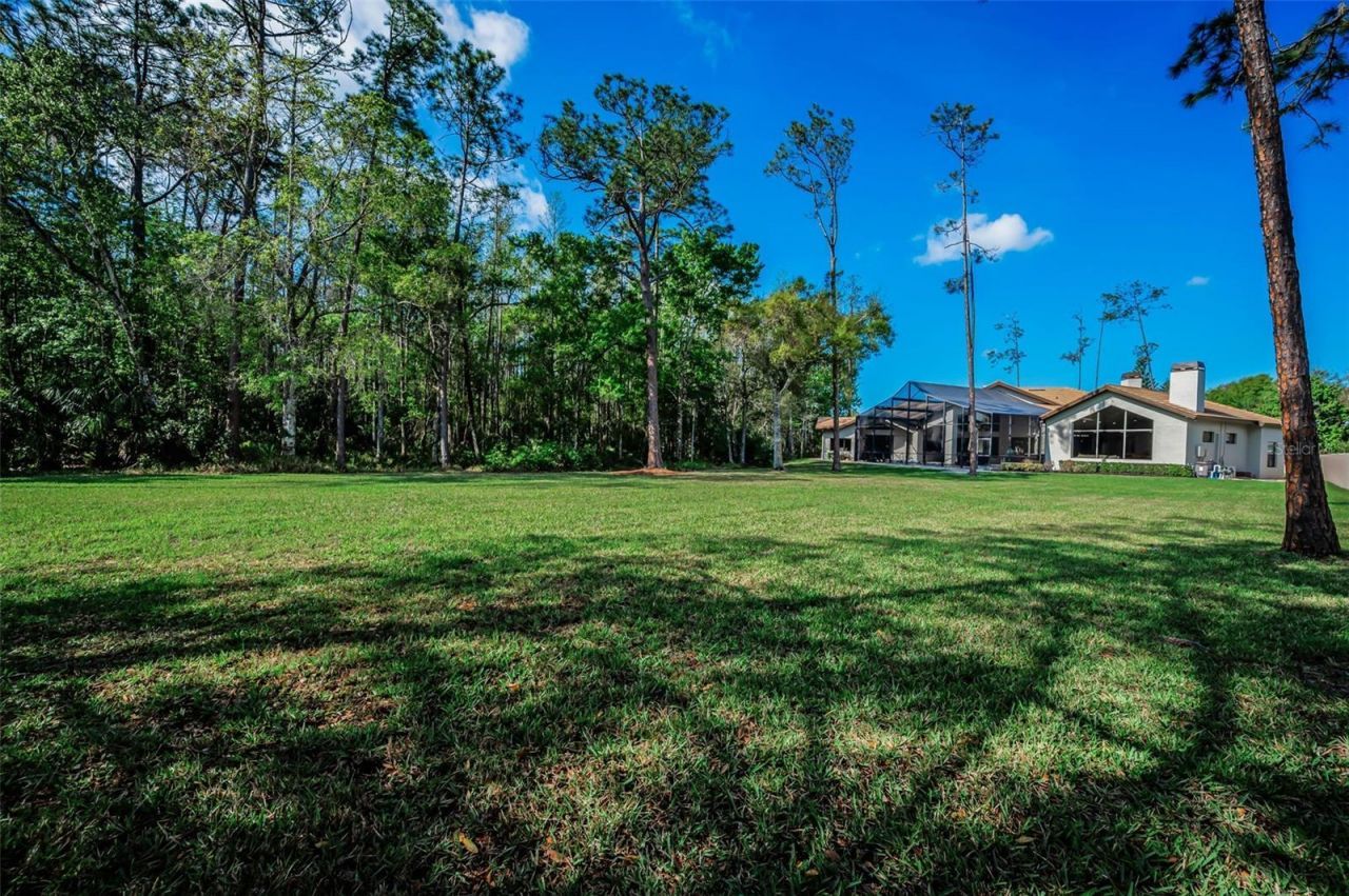 5044 Kilkenney Court, Oldsmar, FL 34677 Photo