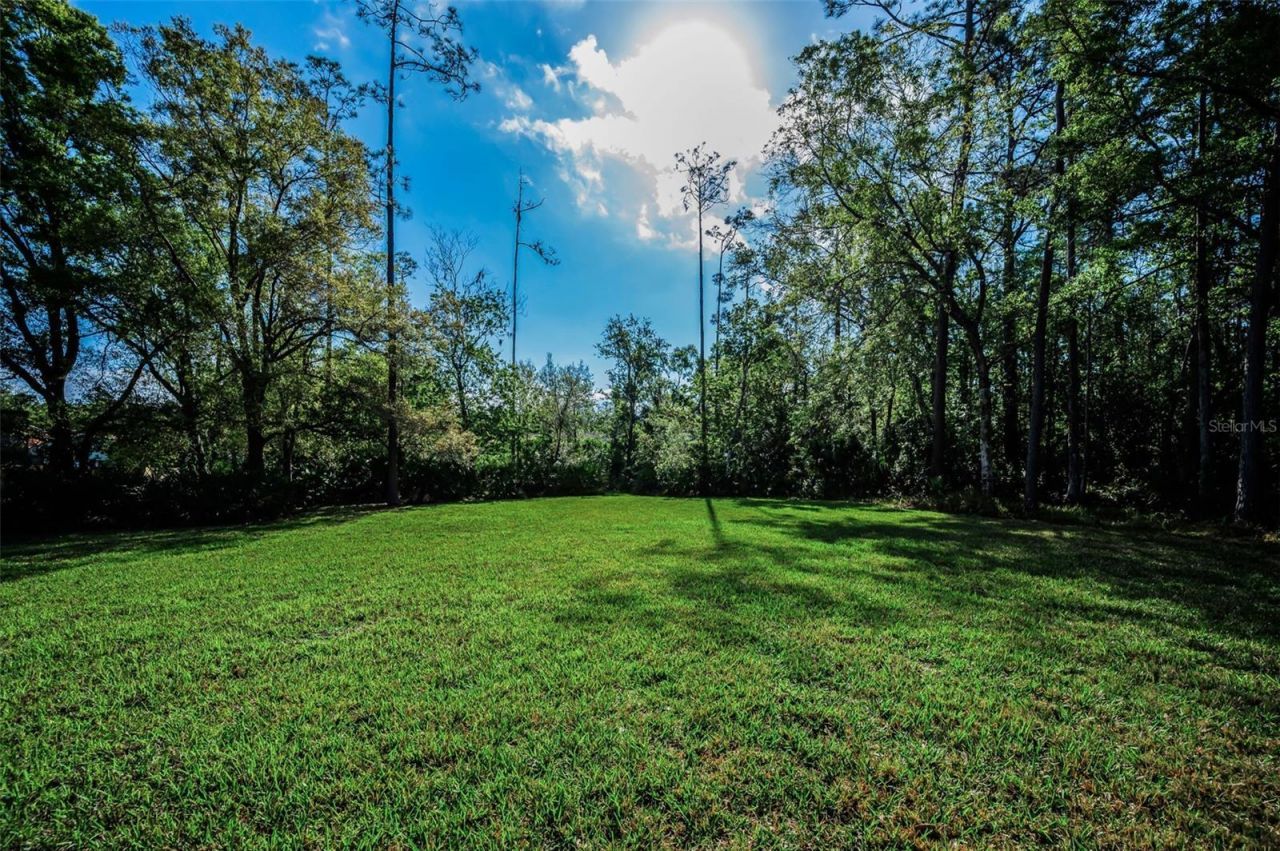 5044 Kilkenney Court, Oldsmar, FL 34677 Photo