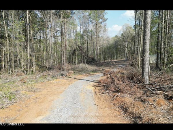 1961 Alton Graham Road, Conehatta, MS 39057