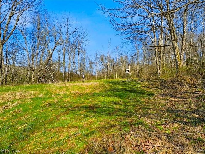 0 Upper Twin Road, South Salem, OH 45681 Photo 29