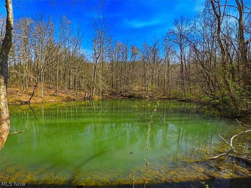 0 Upper Twin Road, South Salem, OH 45681 Photo 32