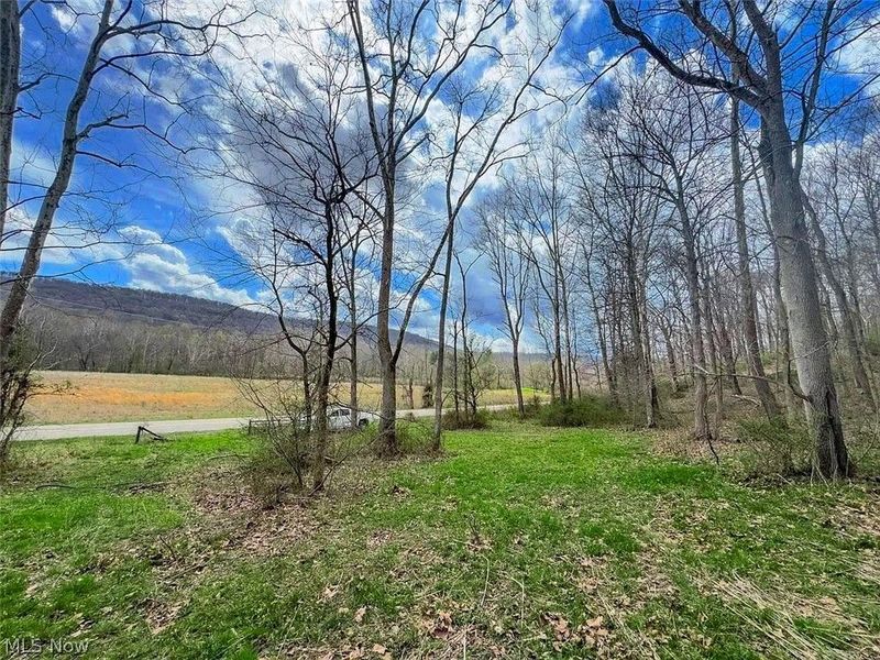 0 Upper Twin Road, South Salem, OH 45681 Photo 37