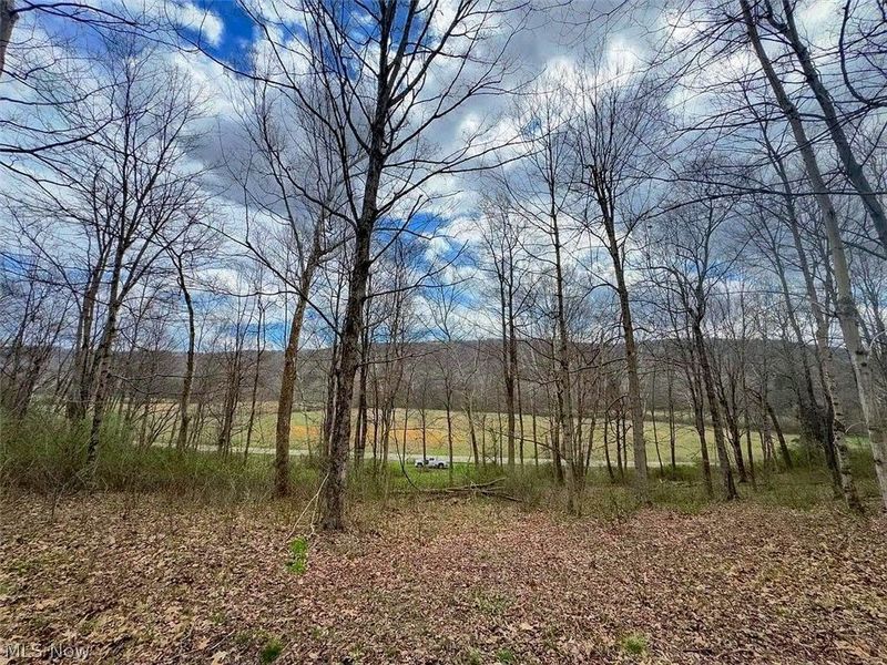 0 Upper Twin Road, South Salem, OH 45681 Photo 45