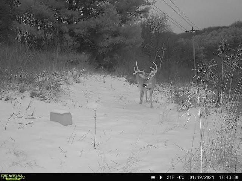 17116 County Road 298, Coshocton, OH 43812 Photo 37