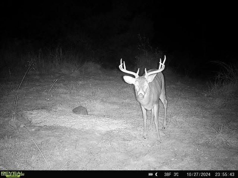 17116 County Road 298, Coshocton, OH 43812 Photo 38