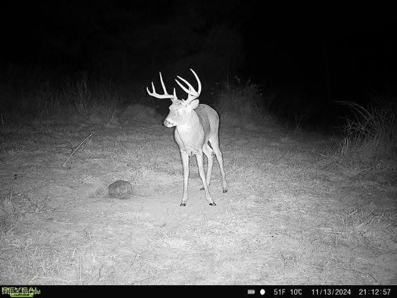 17116 County Road 298, Coshocton, OH 43812 Photo 39