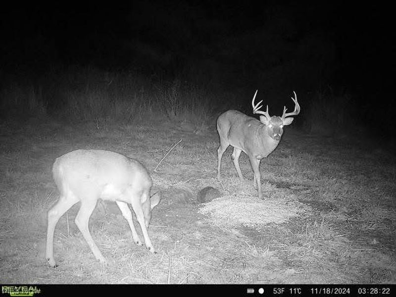 17116 County Road 298, Coshocton, OH 43812 Photo 40