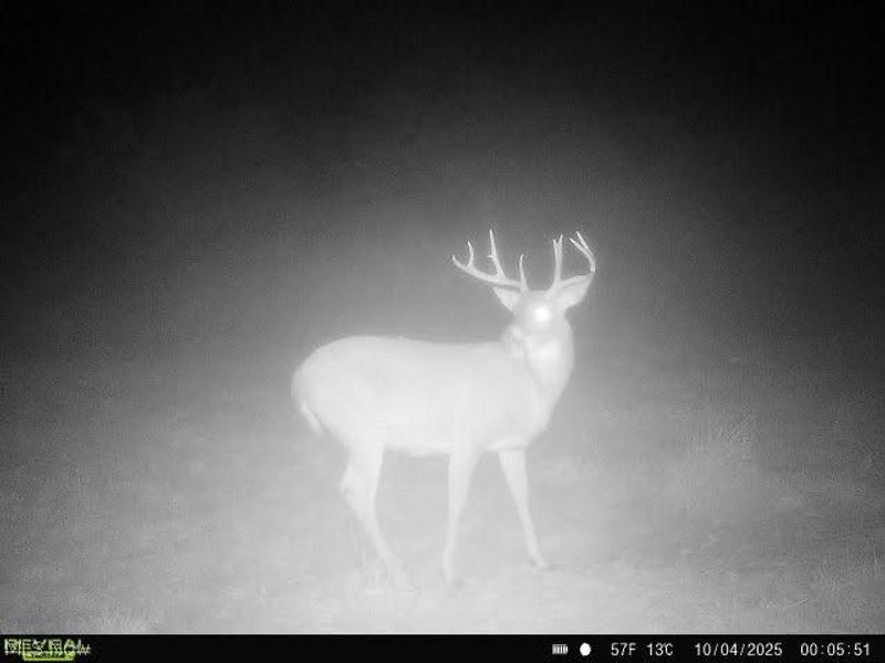 17116 County Road 298, Coshocton, OH 43812 Photo 41