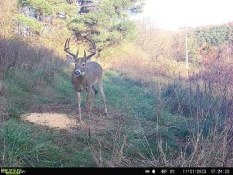 17116 County Road 298, Coshocton, OH 43812 Photo 42