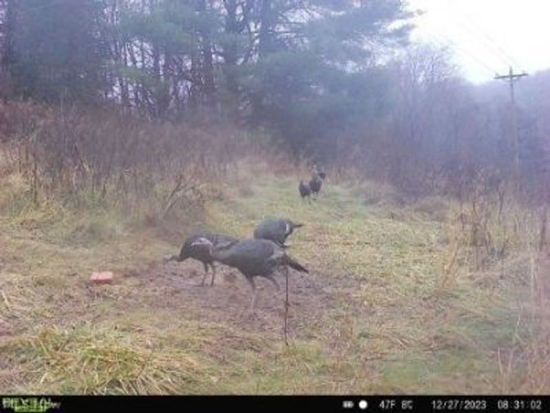 17116 County Road 298, Coshocton, OH 43812 Photo 43