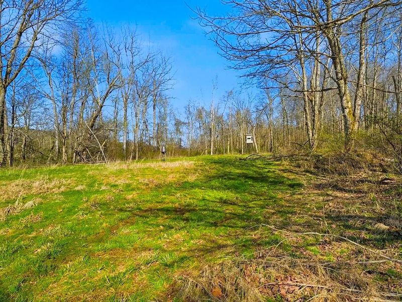 0 Upper Twin Road, South Salem, OH 45681 Photo 28