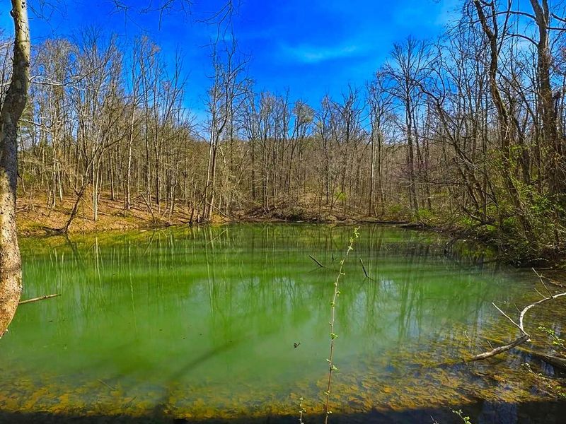 0 Upper Twin Road, South Salem, OH 45681 Photo 31