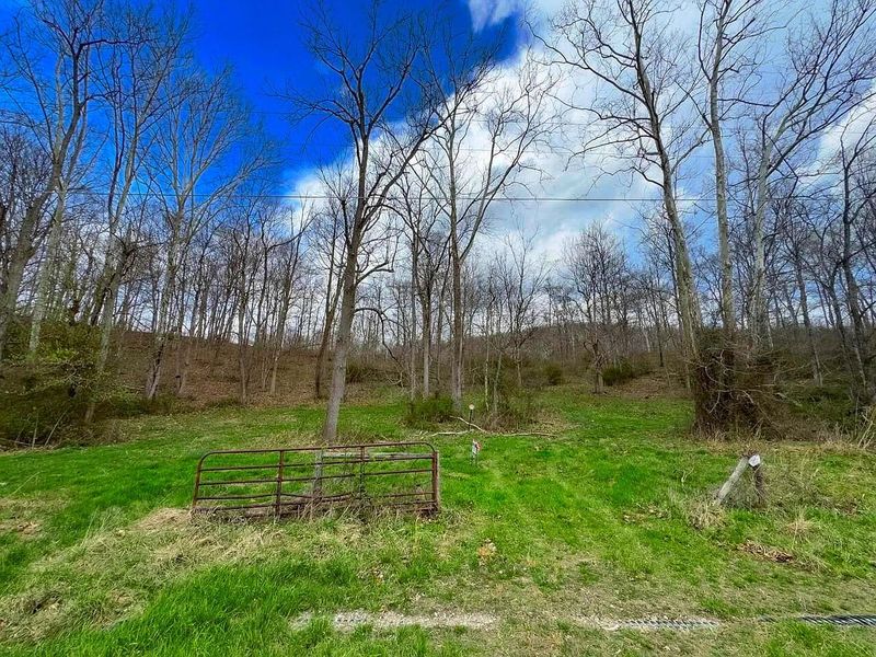 0 Upper Twin Road, South Salem, OH 45681 Photo 32