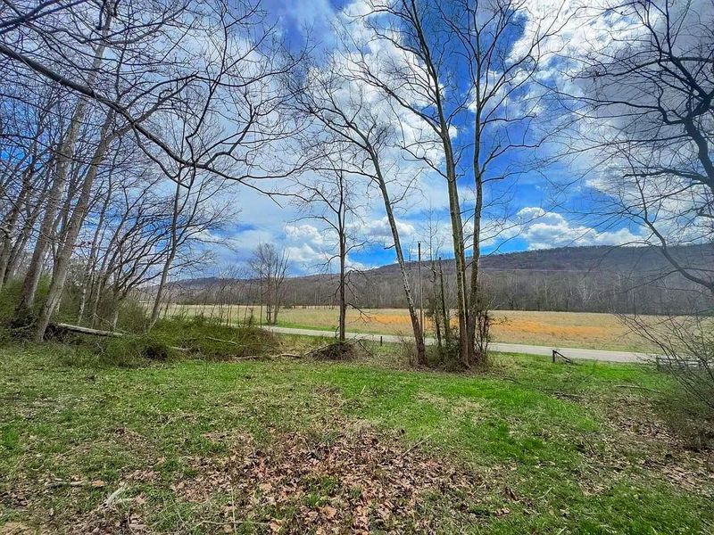 0 Upper Twin Road, South Salem, OH 45681 Photo 35