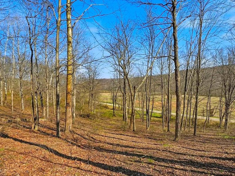 0 Upper Twin Road, South Salem, OH 45681 Photo 39