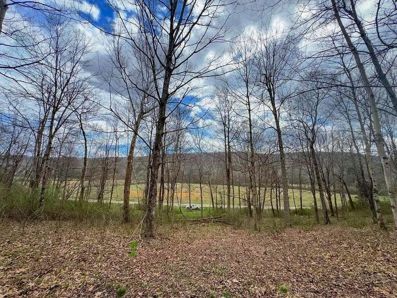 0 Upper Twin Road, South Salem, OH 45681 Photo 43