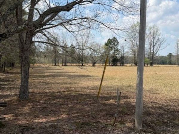 TBD George Road, Arkadelphia, AR 71923