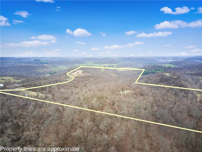 Parry Hollow, Caldwell, OH 43724 Photo 11