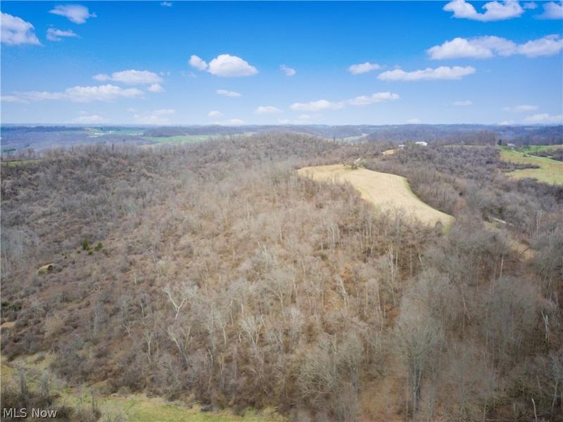 Parry Hollow, Caldwell, OH 43724 Photo 17