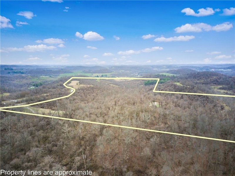 Parry Hollow, Caldwell, OH 43724 Photo 9