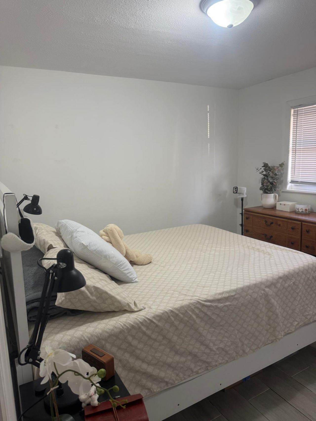 4649 Sunset Lane, West Palm Beach, FL 33415 Photo