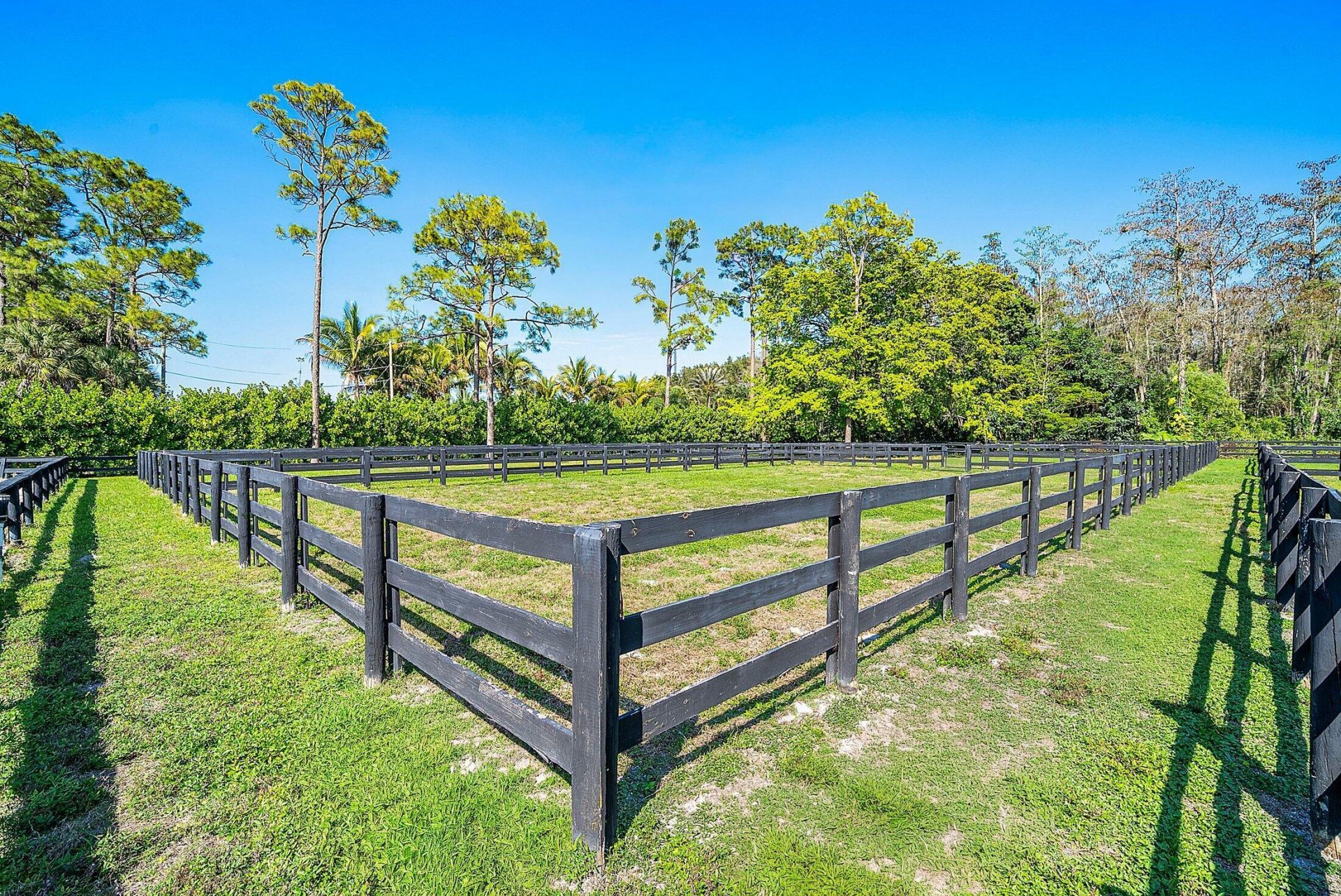 6149 Park Lane E, Unit (barns + S, Lake Worth, FL 33449 Photo