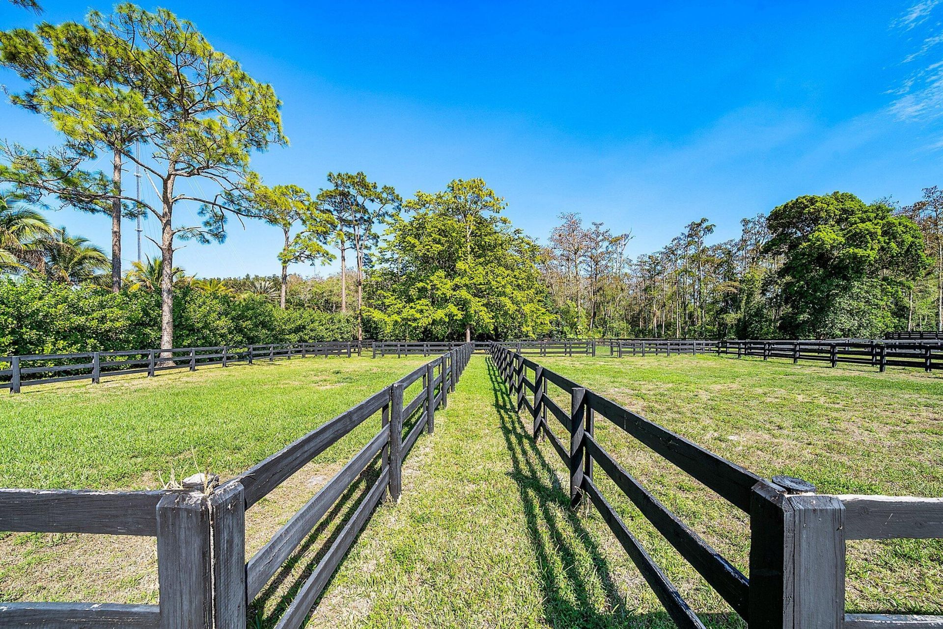 6149 Park Lane E, Unit (barns + S, Lake Worth, FL 33449 Photo