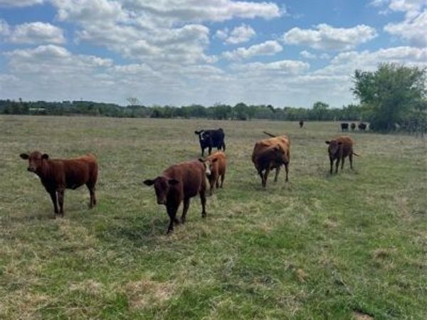 12716 FM-59 Highway, Athens, TX 75751