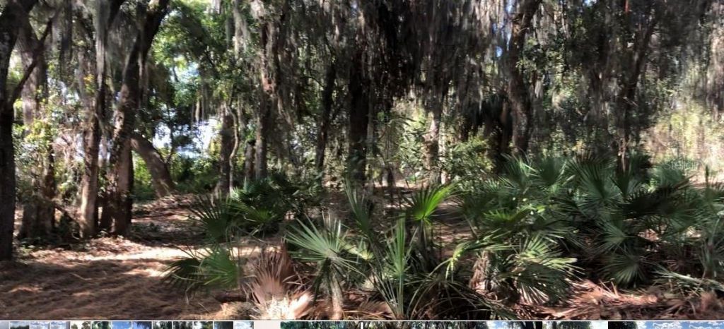 Lake Reedy Boulevard N, Frostproof, FL 33843 Photo