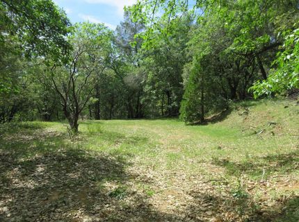 Higdon Spink Rd, West Point, CA 95255 Photo