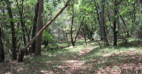 Higdon Spink Rd, West Point, CA 95255 Photo