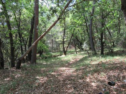 Higdon Spink Rd, West Point, CA 95255 Photo