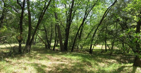 Higdon Spink Rd, West Point, CA 95255 Photo