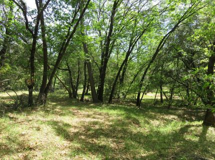 Higdon Spink Rd, West Point, CA 95255 Photo