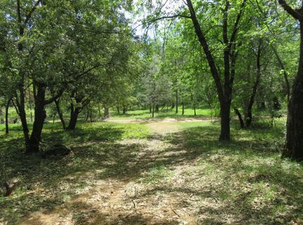 Higdon Spink Rd, West Point, CA 95255 Photo