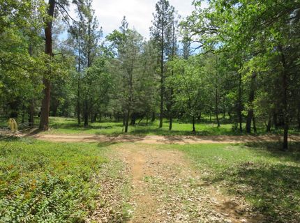 Higdon Spink Rd, West Point, CA 95255 Photo
