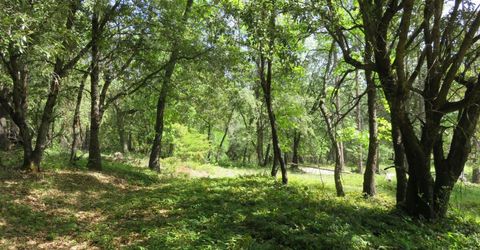 Higdon Spink Rd, West Point, CA 95255 Photo