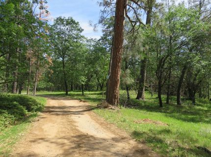 Higdon Spink Rd, West Point, CA 95255 Photo