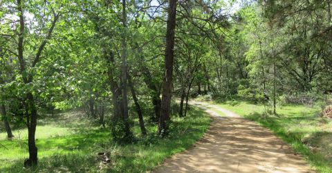 Higdon Spink Rd, West Point, CA 95255 Photo